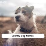 country puppy names