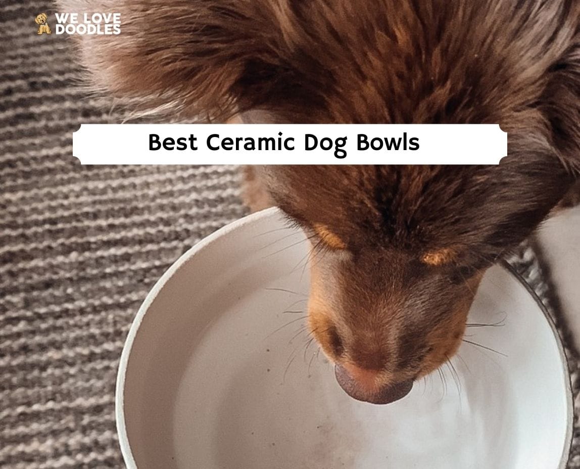 Large ceramic handmade dog bowl. Pet Food or Water Bowl for Dogs or Ca –  ZuzeCeramics