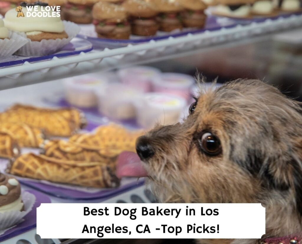 dog treat bakery near me