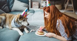 Dog Birthday Instagram Captions