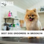 Dog Groomers in Brooklyn