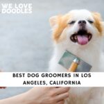 Dog Groomers in Los Angeles CA