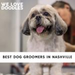 Dog Groomers in Nashville
