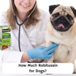 How-Much-Robitussin-for-Dogs-template