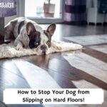 How-to-Stop-Your-Dog-from-Slipping-on-Hard-Floors-template