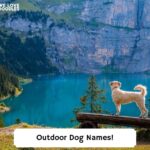 Outdoor-Dog-Names-template