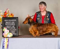 Von Kue Hounds