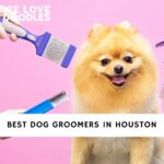 Dog Groomers in Houston
