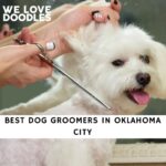 Dog Groomers in Oklahoma City