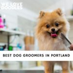 Dog Groomers in Portland