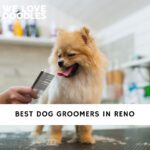 Dog Groomers in Reno