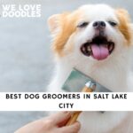 Dog Groomers in Salt Lake City