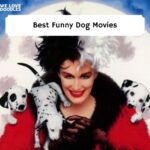 Funny Dog Movies
