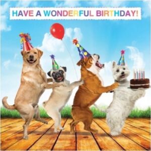 Funny Wonderful Happy Birthday Dog Meme