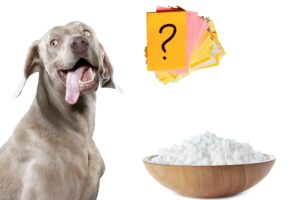 food for dogs with chicken allergies