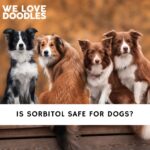 Is Sorbitol Safe For Dogs