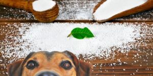 sorbitol bad for dogs