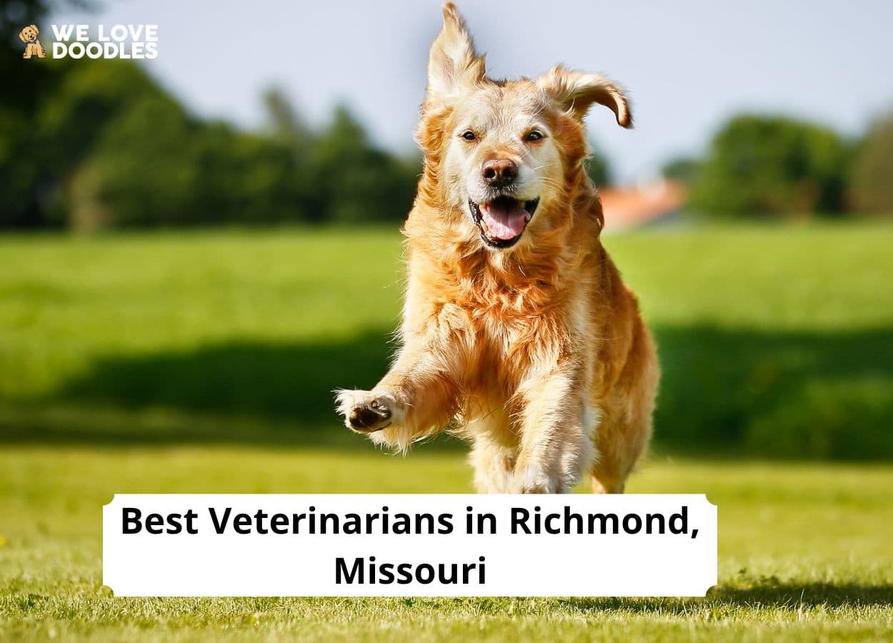 Veterinarians In Richmond MO 