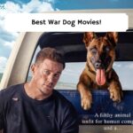 War Dog Movies