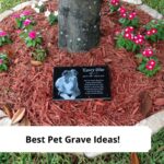Best-Pet-Grave-Ideas-template