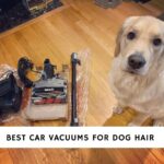 Best Car Vacuums for Dog Hair