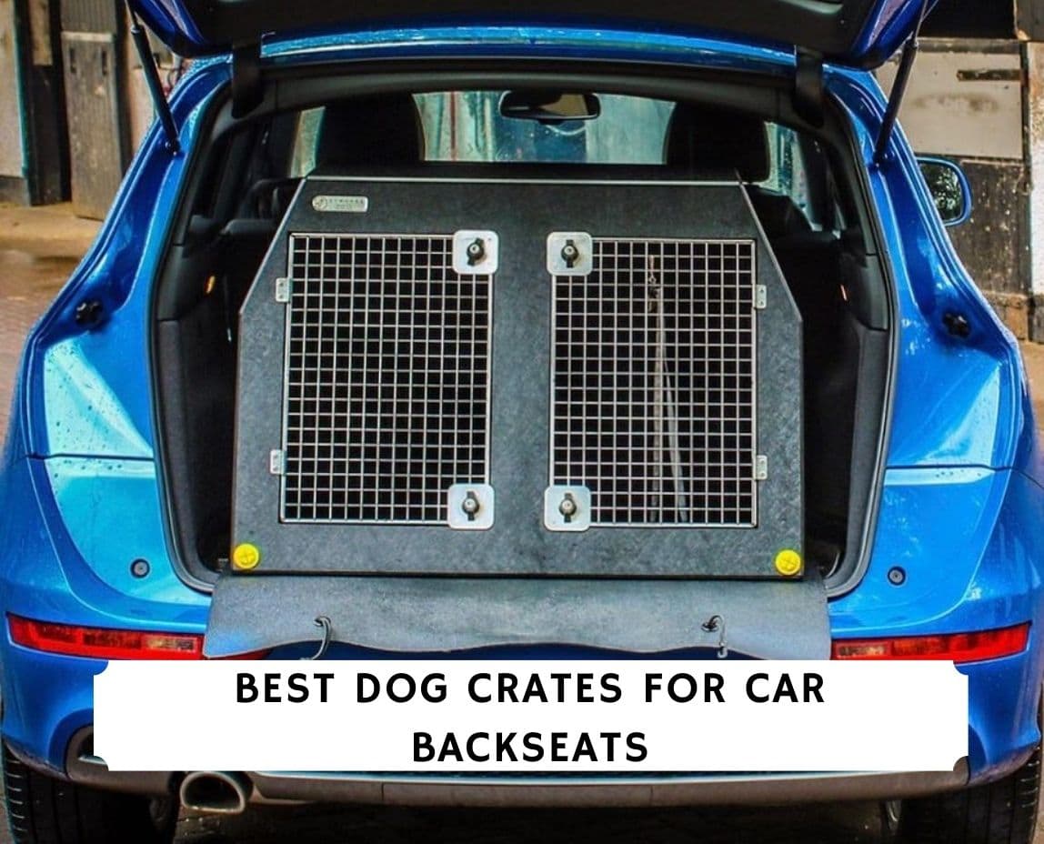 are dogs safe in crate car