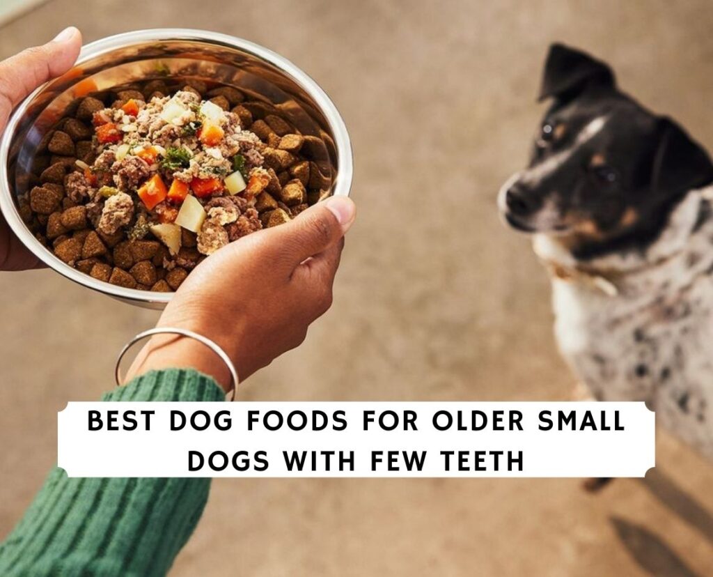 do small dogs need small dog food