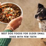 Best Dog Foods for Older Small Dogs with Few Teeth