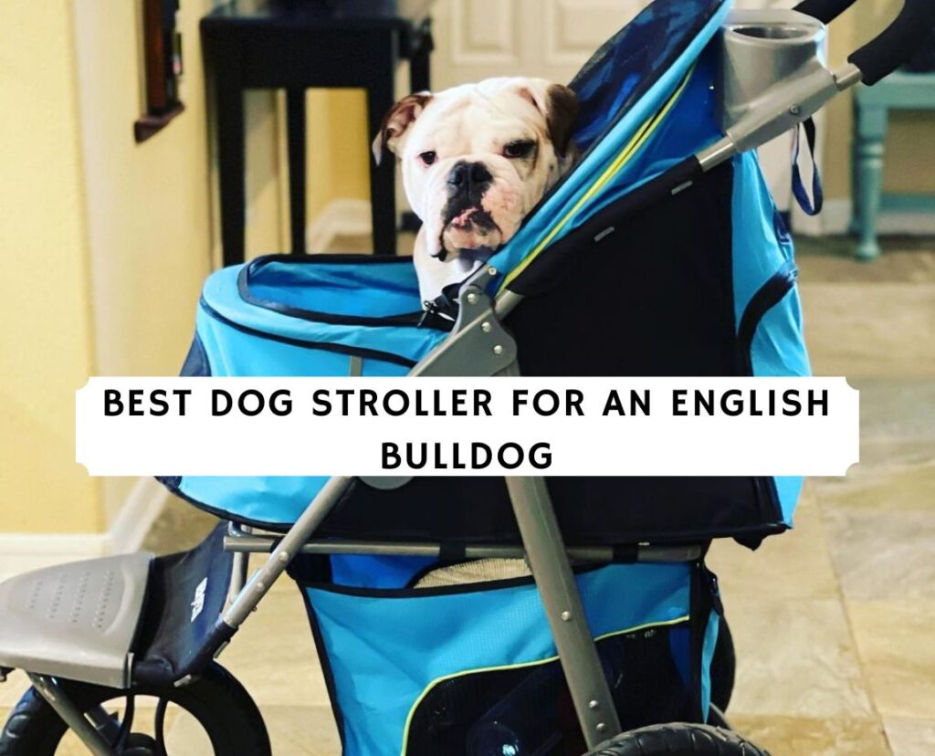 Dog stroller shop for english bulldog