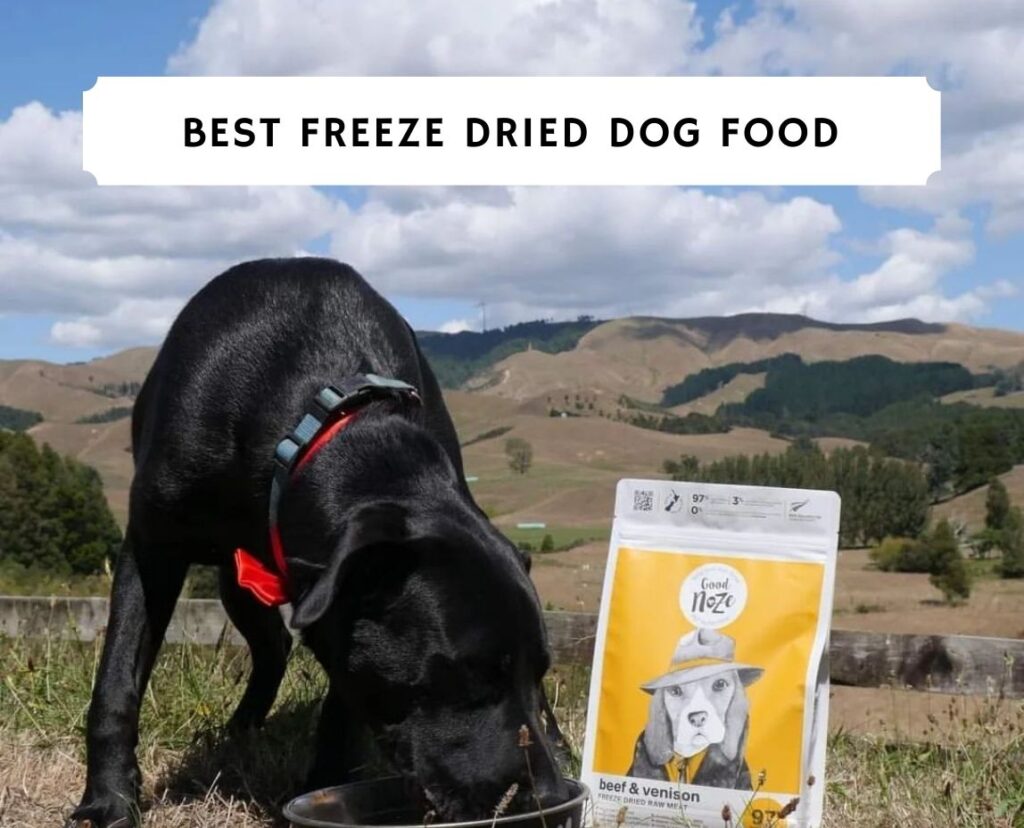 ORIJEN Original Freeze-Dried Dog Treats (2-Pack Of 3.25oz Bags) - All-Natural, Made In USA
