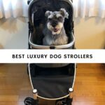 Best Luxury Dog Strollers
