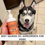 Best Salmon Oil Supplements for Dogs