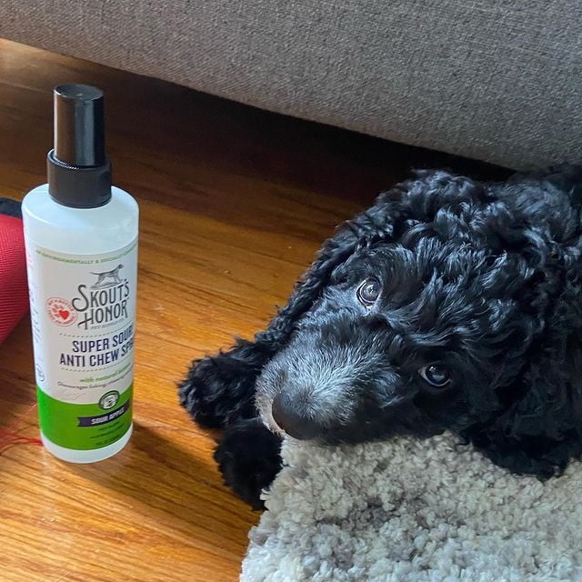 The 8 Best Anti-Chew Sprays! - We Love Doodles - Soft Sided Dog Crate Anti Chew Sprays