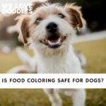 Is Food Coloring Safe For Dogs