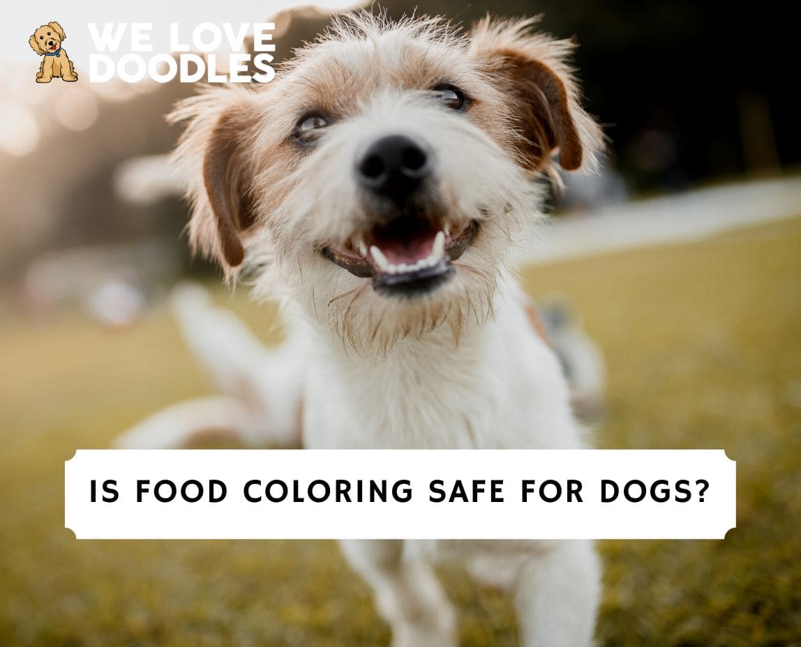 are food jdyes safe for dogs