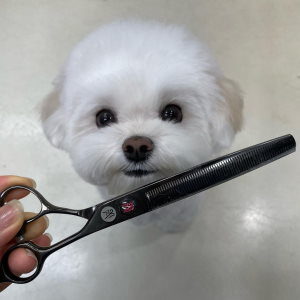 The 7 Best Thinning Scissors for Dogs! (2024) - We Love Doodles