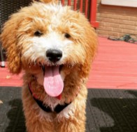 WLD Turnaround Time 2 Months