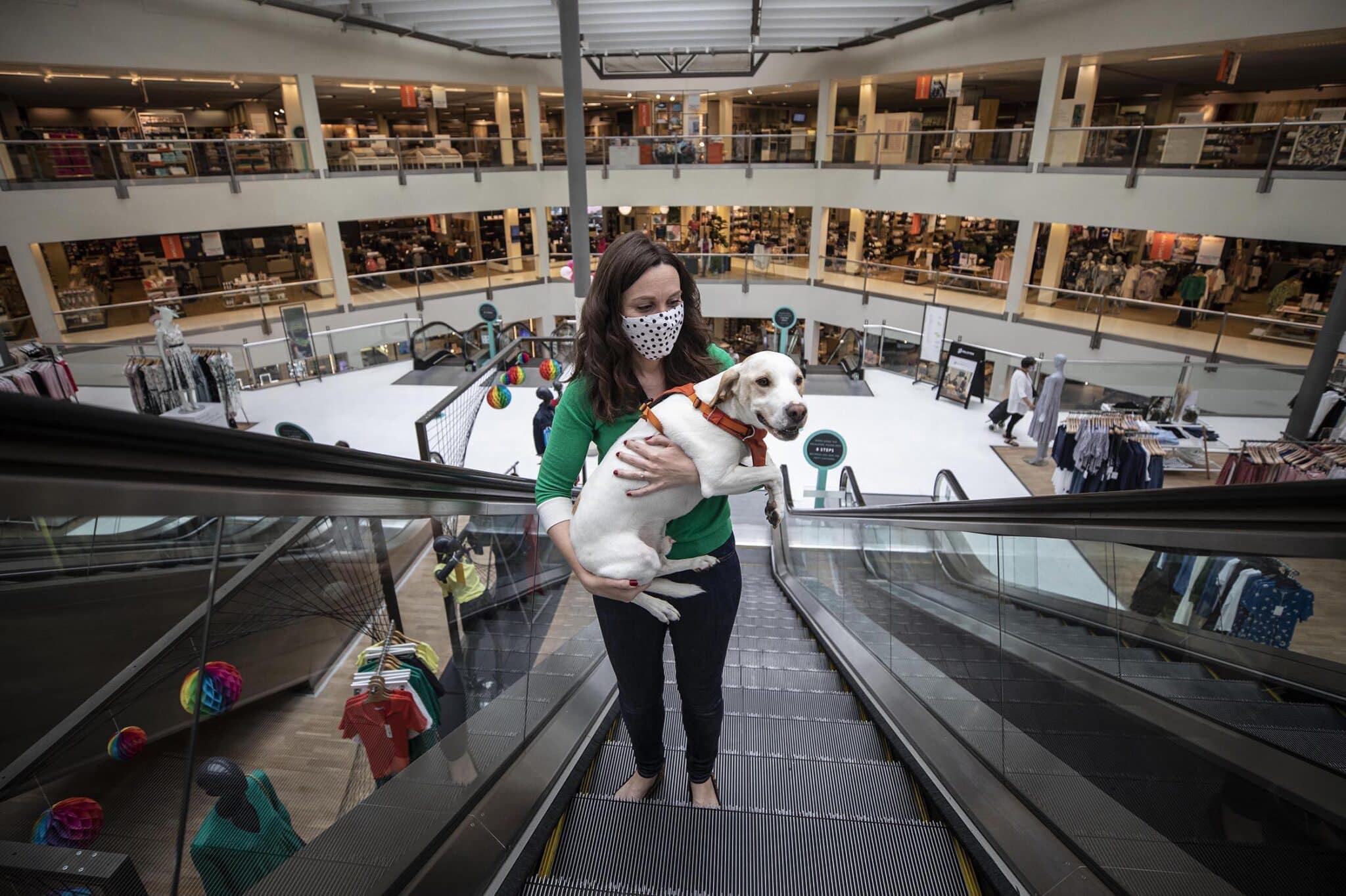 Are Dogs Allowed in Malls?