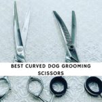 Best Curved Dog Grooming Scissors