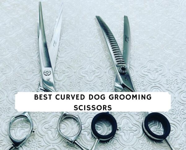 Illustration of Best Dog Face Scissors With Guard For Beginners
