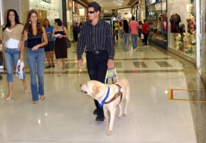 can you bring your dog to the mall