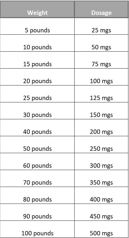 how much amoxicillin can you give a dog