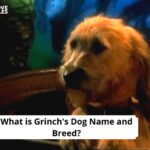 Grinch's Dog