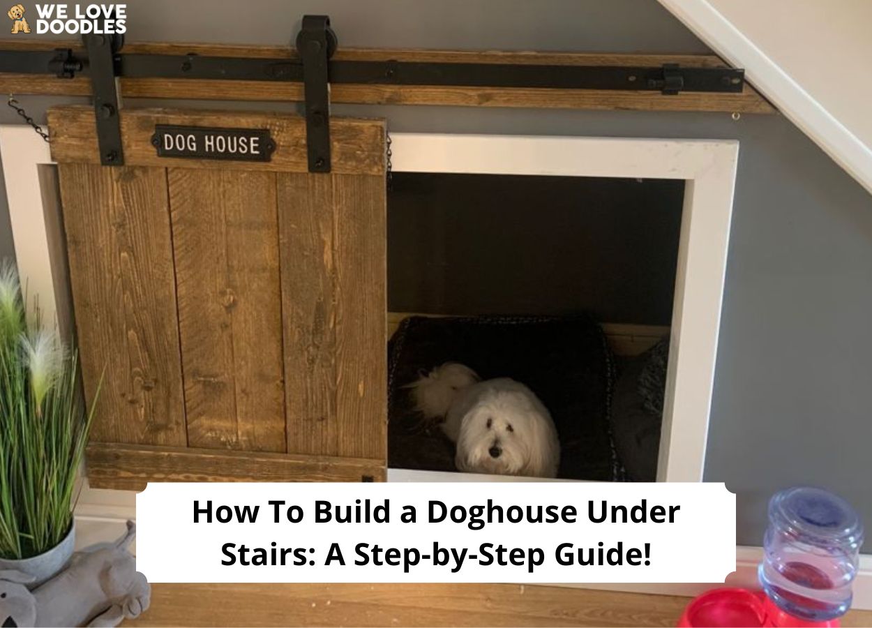 How To Build a Doghouse Under Stairs A StepbyStep Guide! (2024)