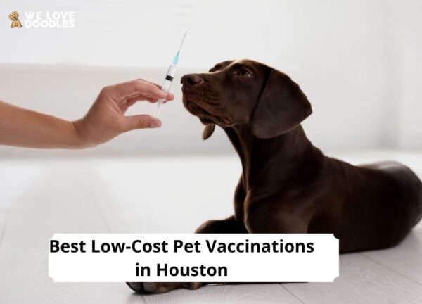 4 Best Low Cost Pet Vaccinations In Houston 2024 We Love Doodles   Low Cost Pet Vaccinations In Houston 600x432 