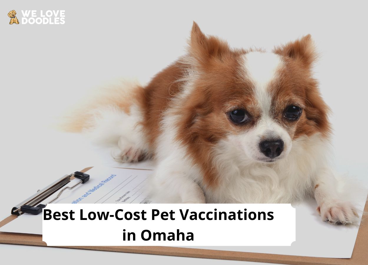 Low Cost Pet Vaccinations In Omaha 