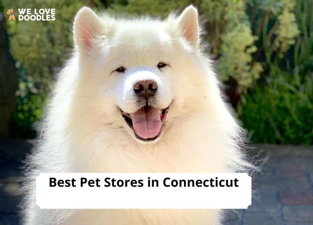 Blog We Love Doodles