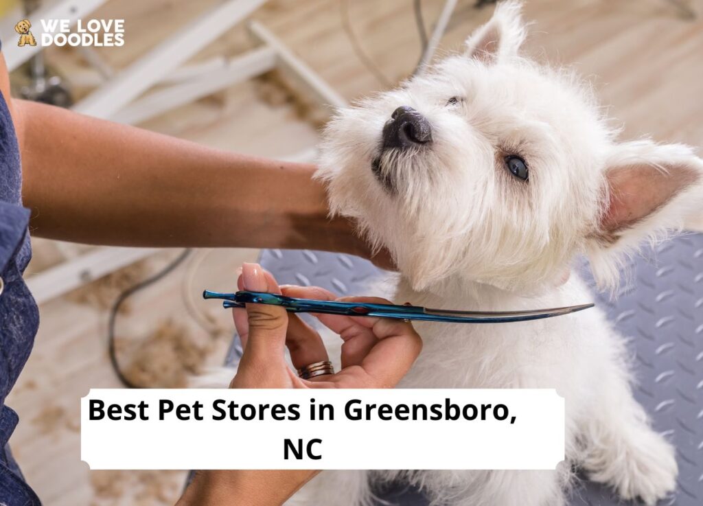 10 Best Pet Stores in Greensboro, NC! (2024) - We Love Doodles