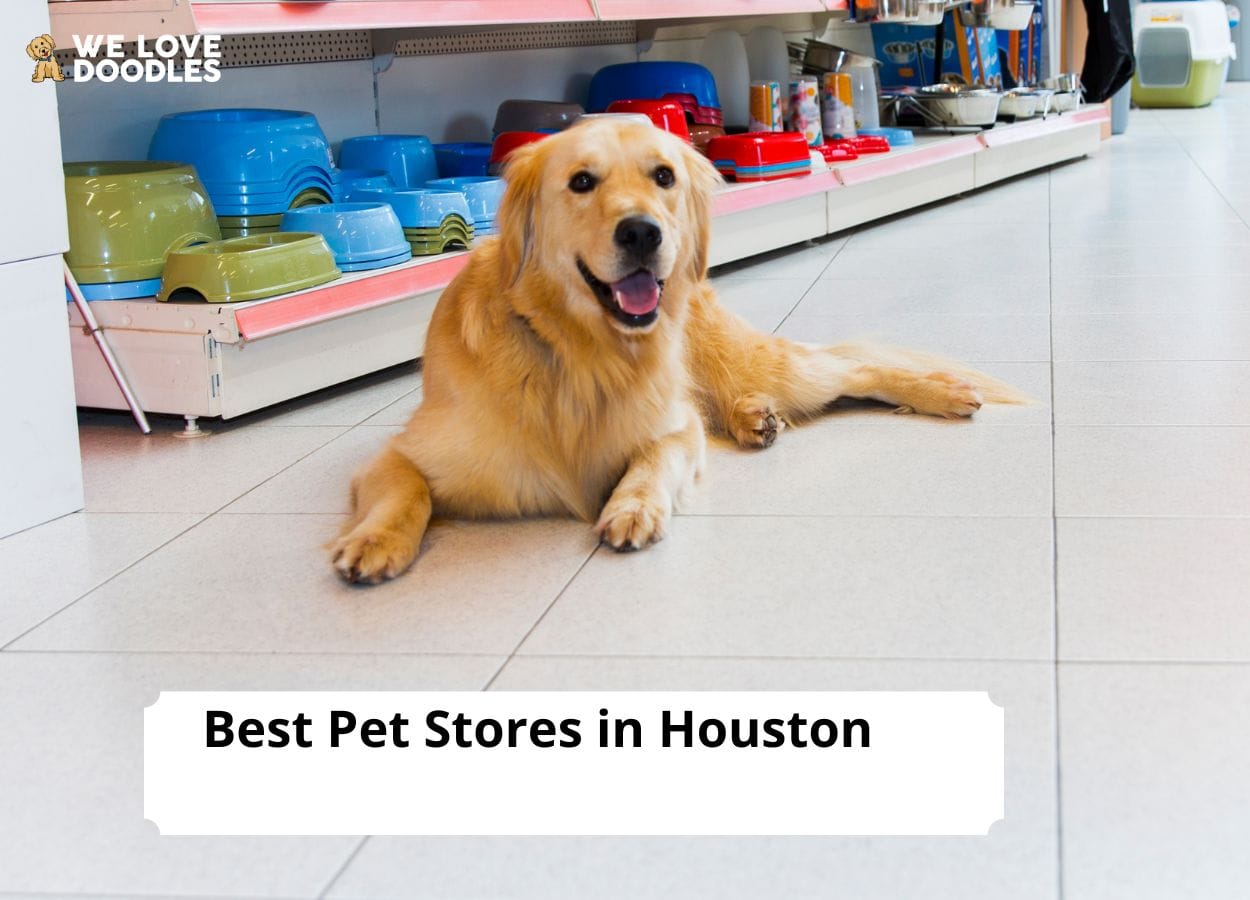 12 Best Pet Stores in Houston! (2024) We Love Doodles