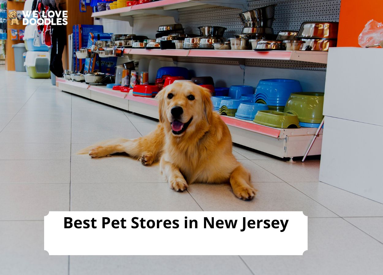 7 Best Pet Stores in New Jersey! (2024) We Love Doodles